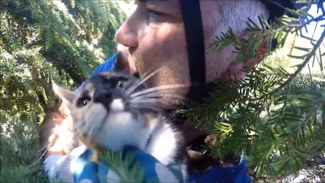 go to Auf die Katze gekommen: Baumpfleger haben umgeschult