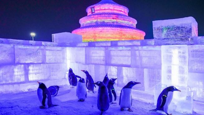 go to Märchenhaft: Eisstadt in Nordostchina eröffnet