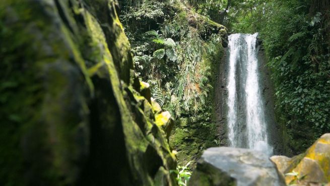 go to Traumort: die Wasserfälle von Bogor